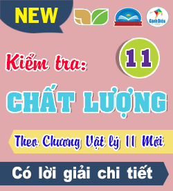 Kiểm tra Chất lượng Nâng cao theo bài (VL_11)